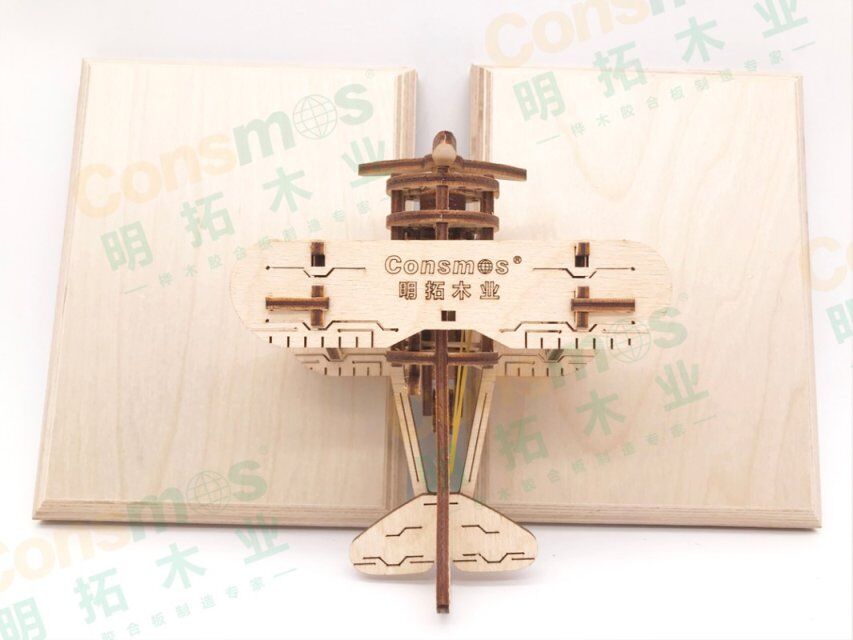 兒童教具專用樺木膠合板
